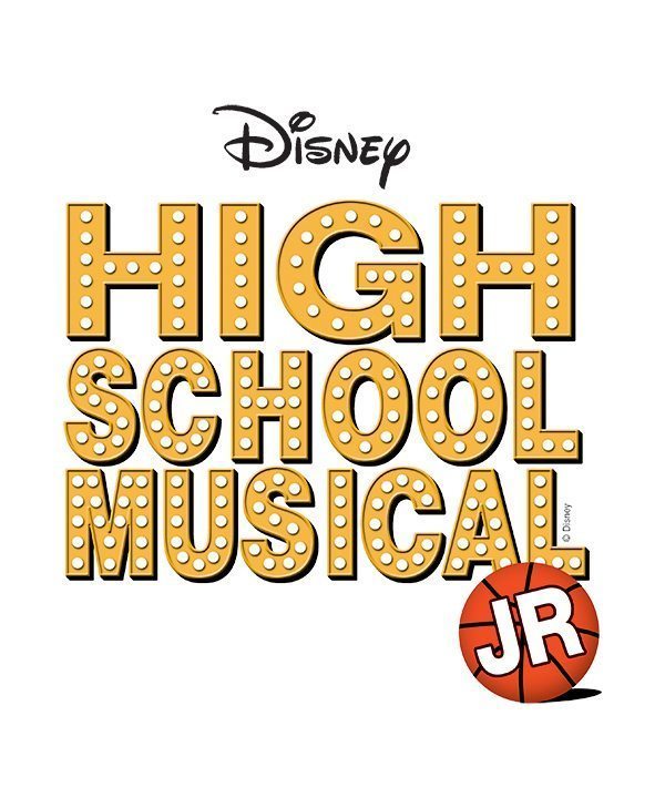 HSM Logo