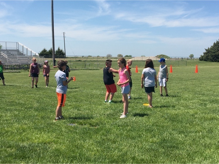 field day