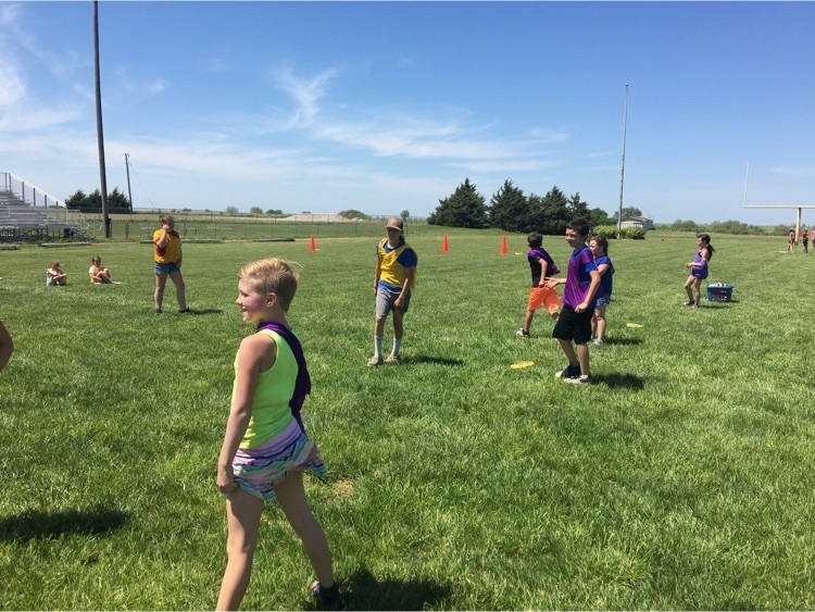 field day