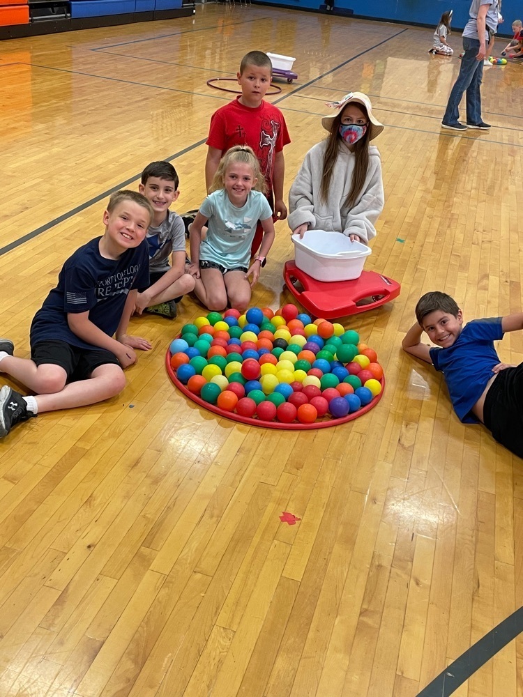 field day