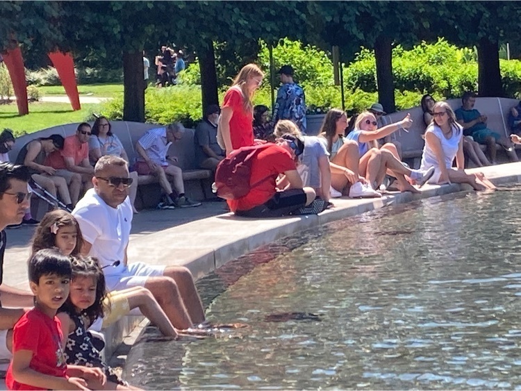 what students chill at the US sculpture garden fountains.