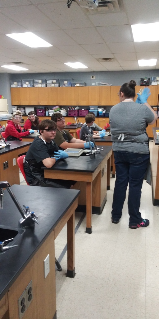 7th & 8th Grade Students Doing  A Heart Dissection Activity