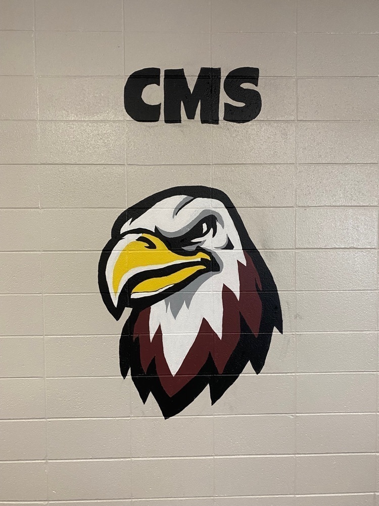 CMS Rocks