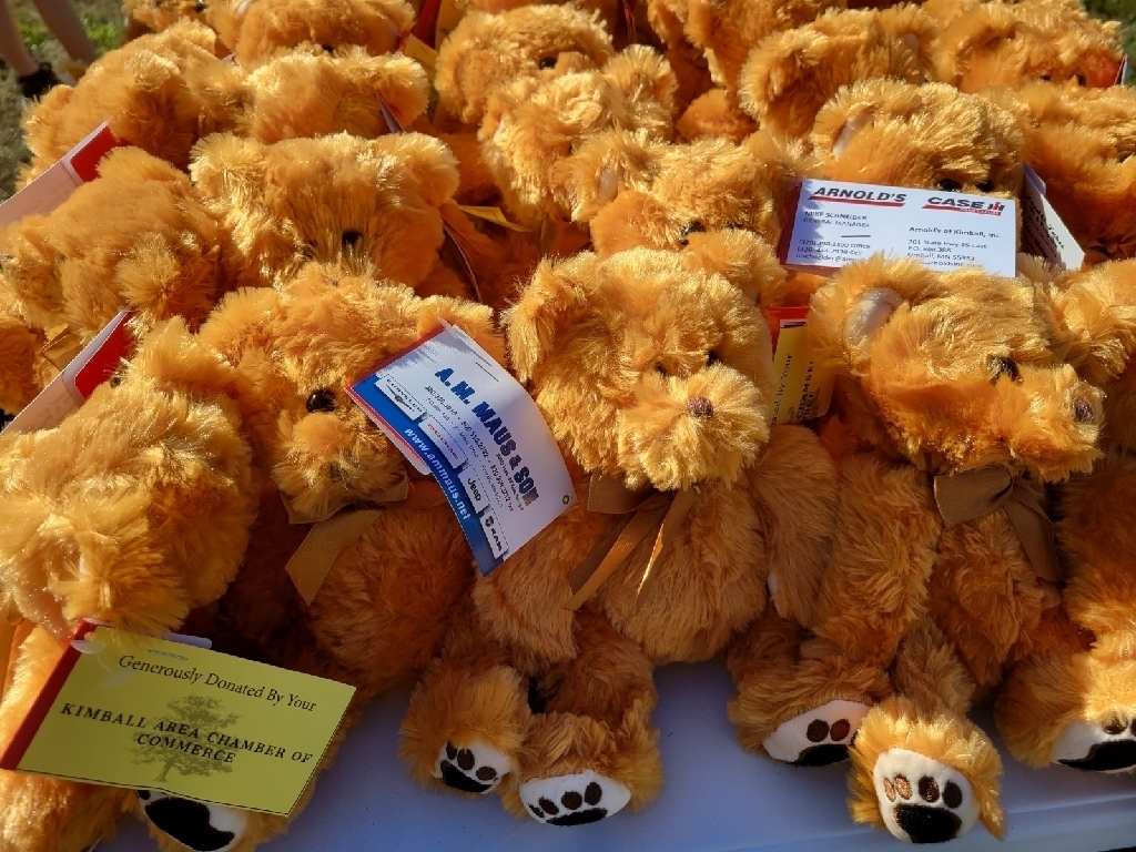Teddy Bear Band