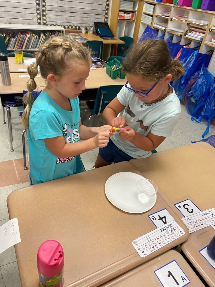 Saving Fred stem activity!