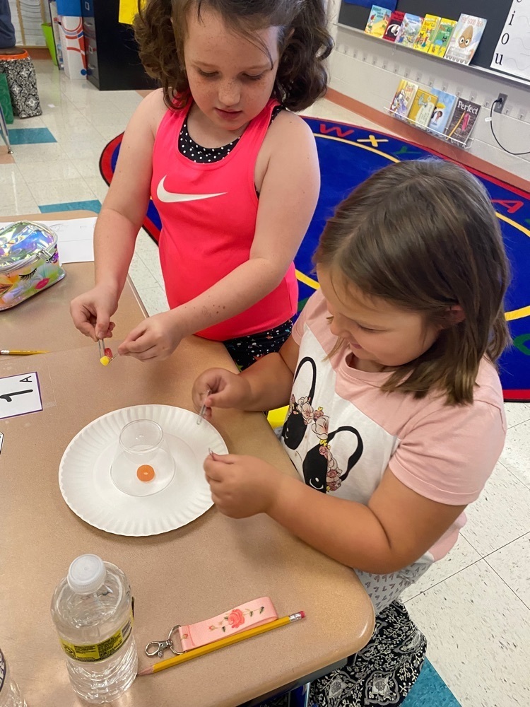 Working together to save ‘Fred the Worm'