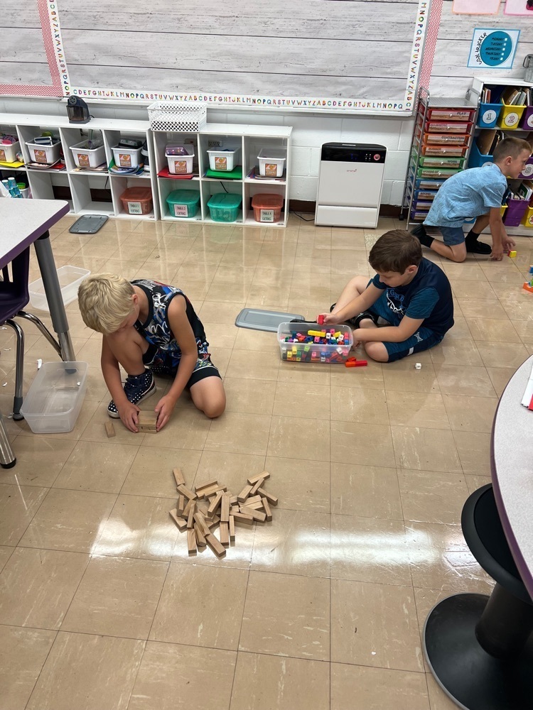 STEM Bins!