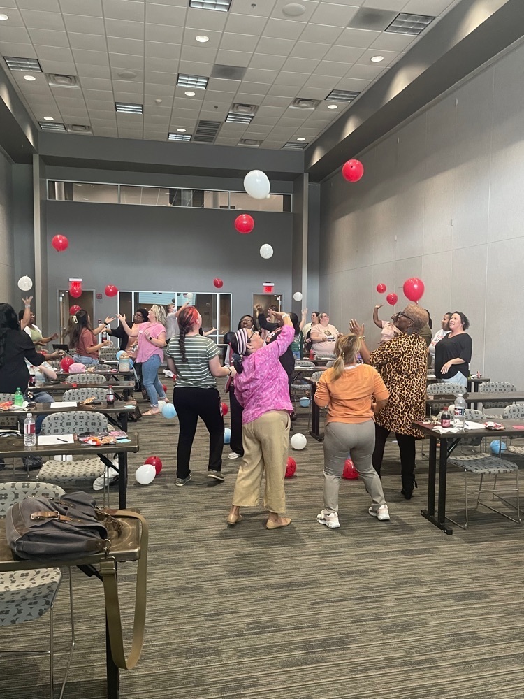 novice teacher training