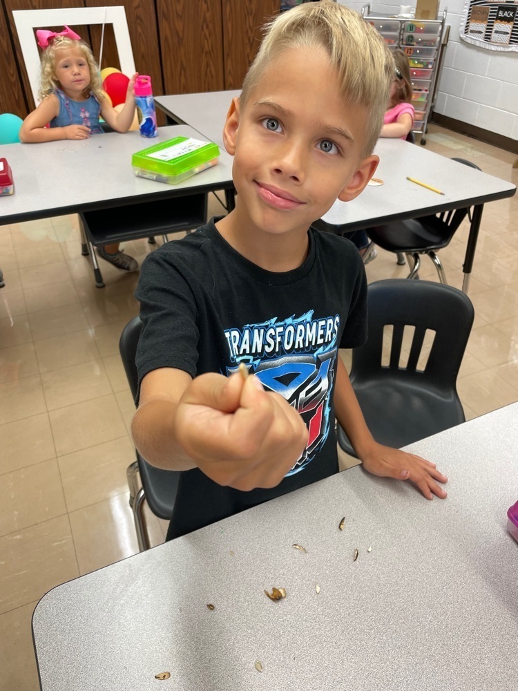 This week first grade learned how to try your best from “The Bad Seed.” Thanks to Mrs. Newman we also all got to try the sunflower seeds!