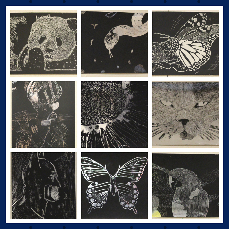 Scratch Board Art