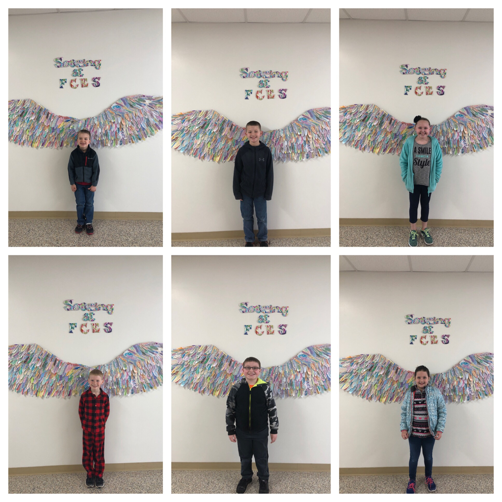Wings