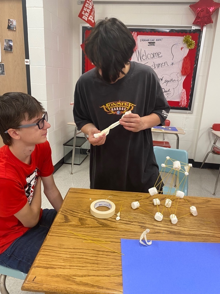 Teamwork Towers! 
