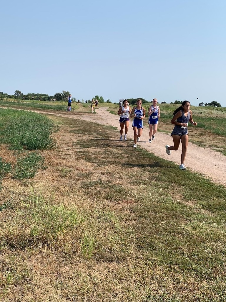 Ruby moving with the pack