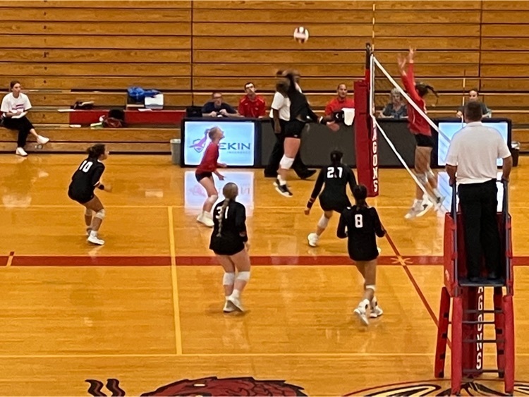 vb2