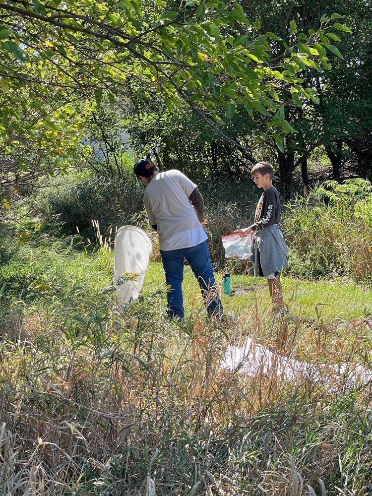 bug catching