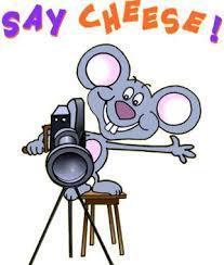 Say Cheese!
