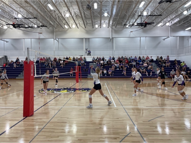 vb