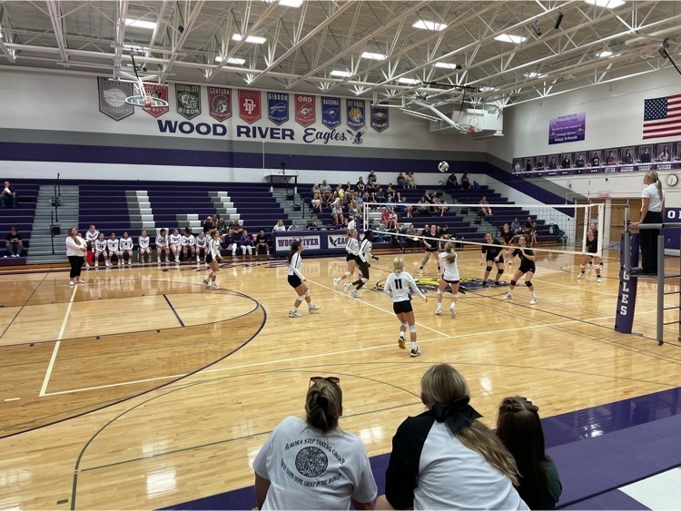 JV vb