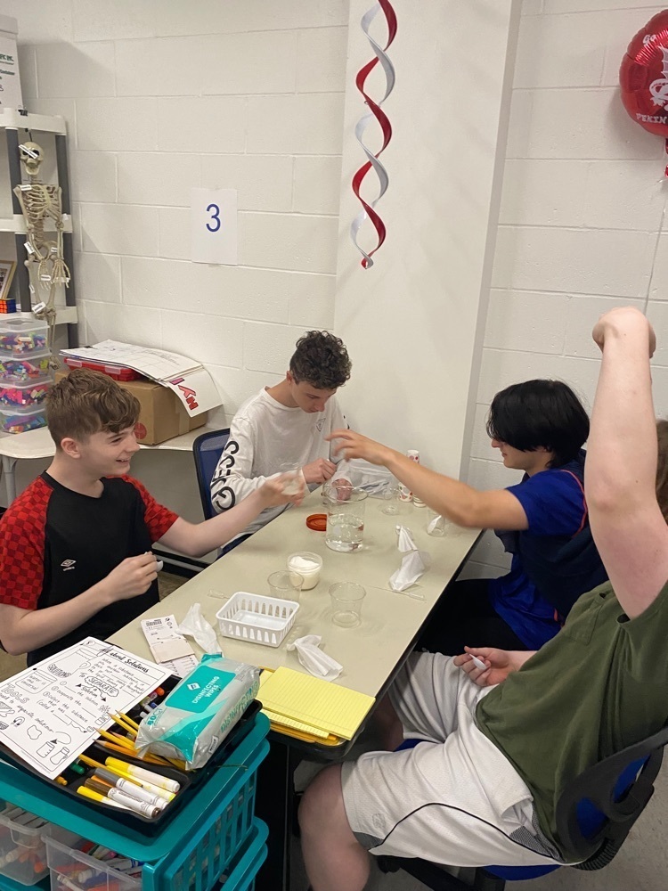 Experimenting to create the best solution to feed our butterfly !