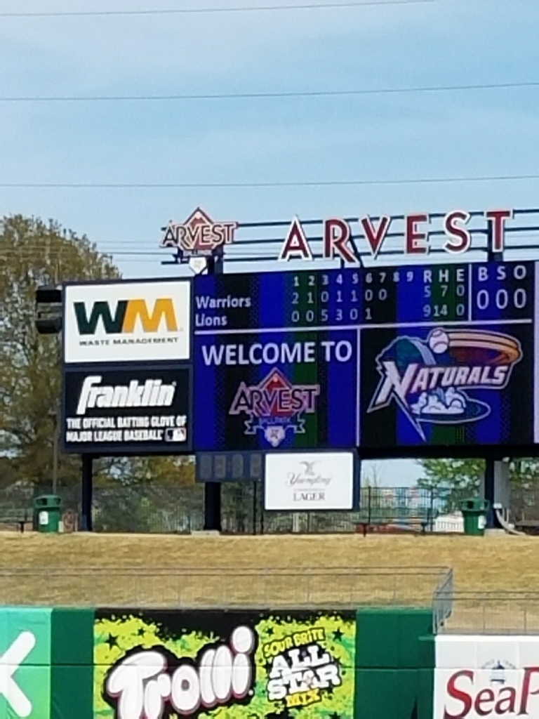 Lions win 9-5