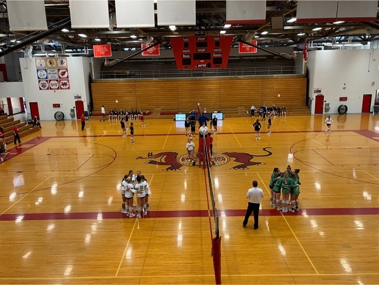 vb2