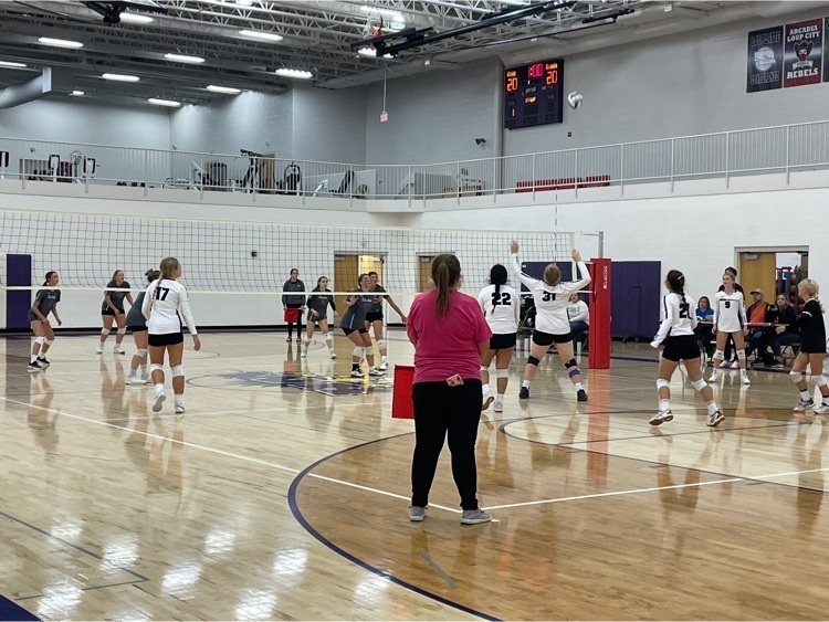JV vb