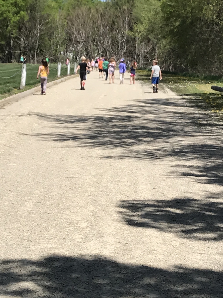 Walk at lunch