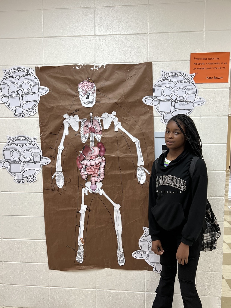 urinary system