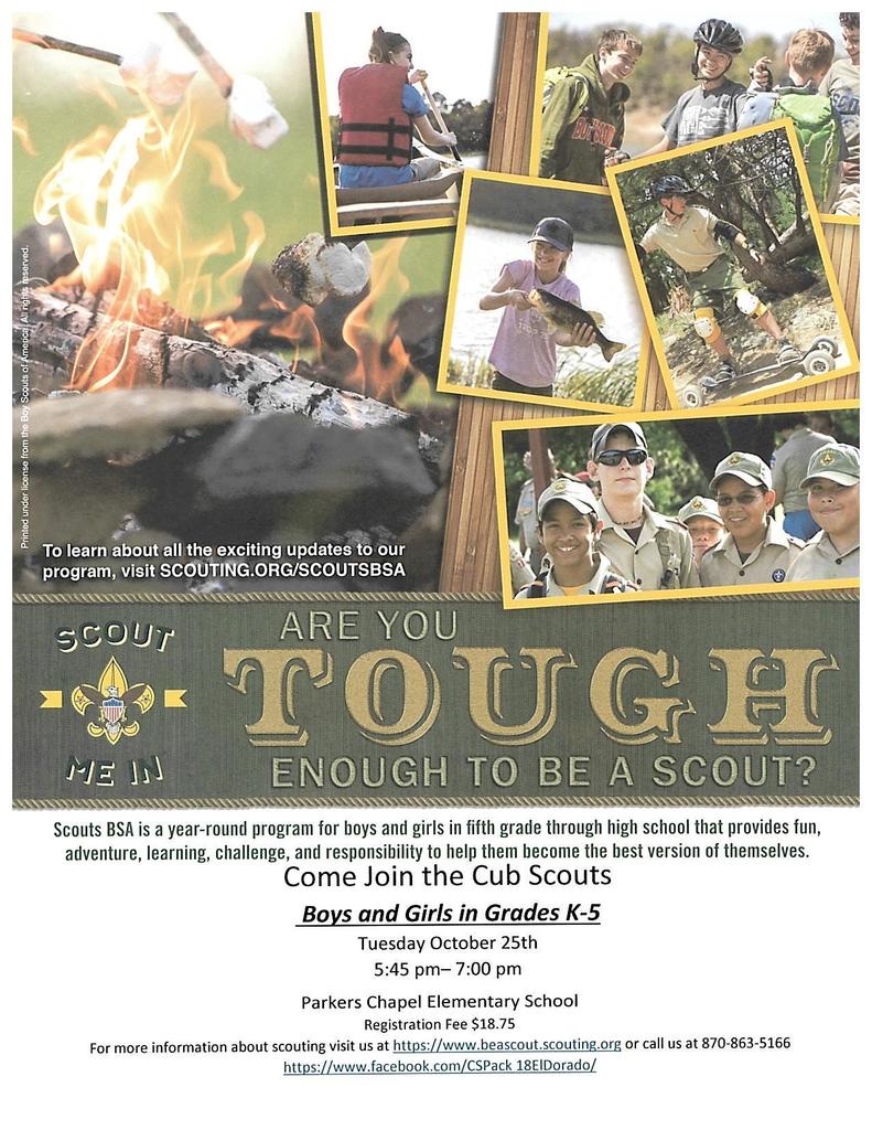 boyscouts