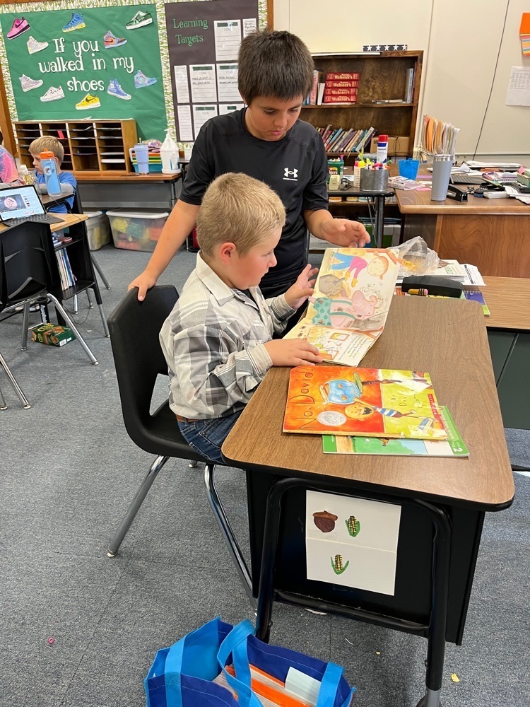 reading