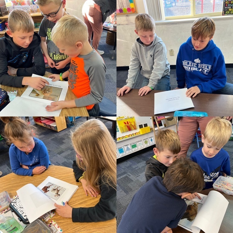 The sixth graders wrote books for the Kindergartners using the sight words they have learned so far this year. Today, they got the chance to listen to them read the books aloud!