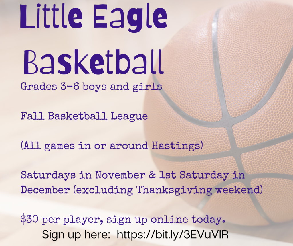 basketball flyer