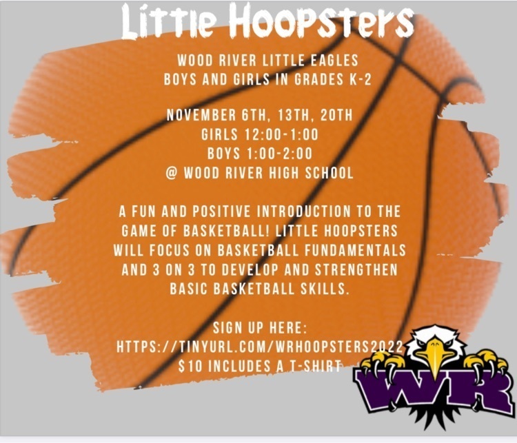 K-2 Little Hoopsters