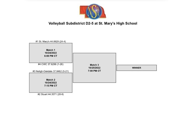 Volleyball