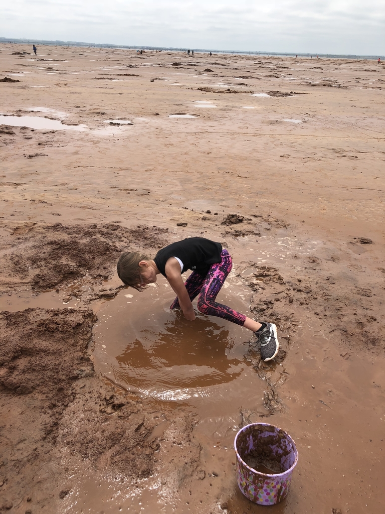 And we had one get stuck! 
