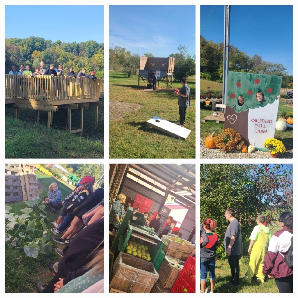 apple Orchard
