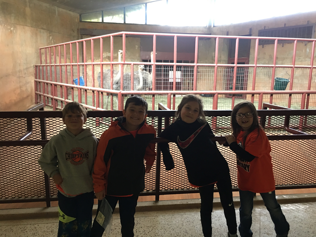 Zoo fun!