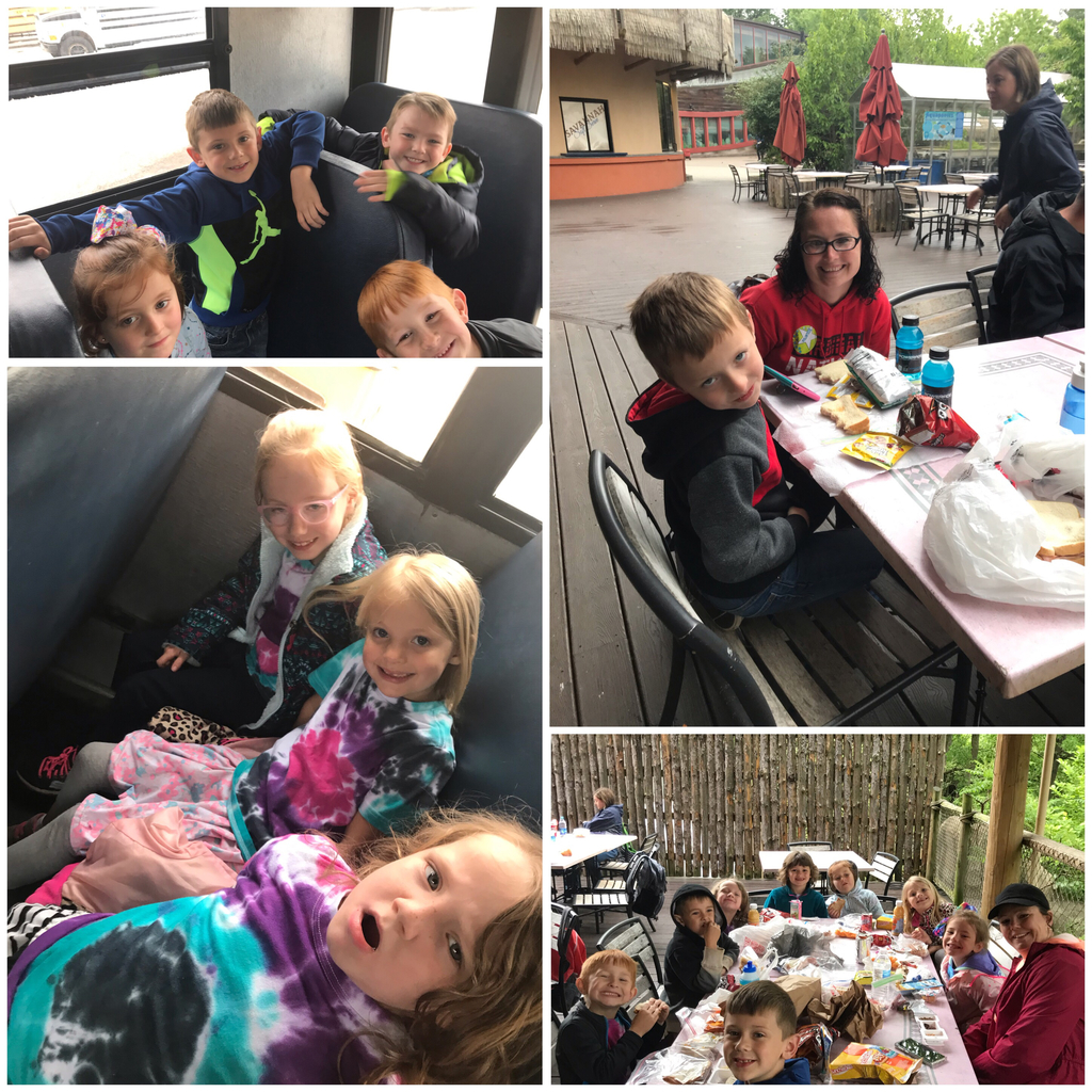 Great day at the zoo