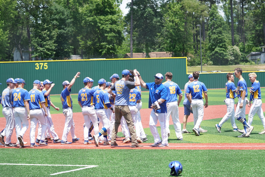 Baseball team cheering