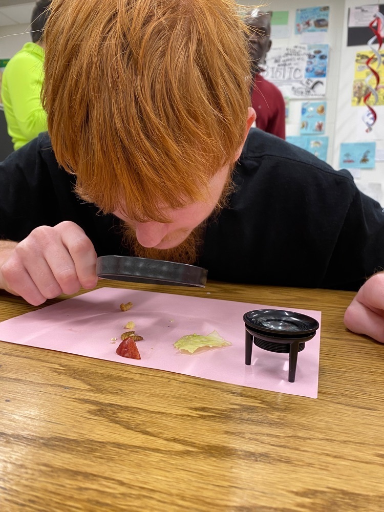 Making inferences and predictions based on evidence and facts!