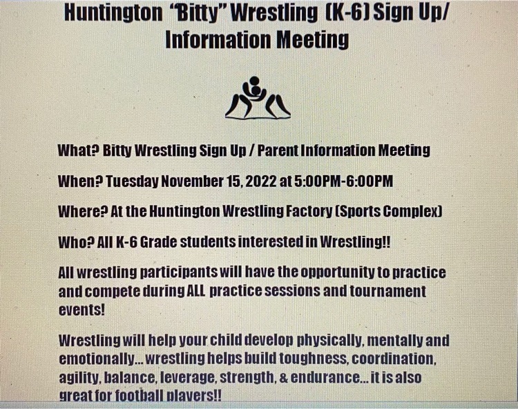 Bitty Wrestling
