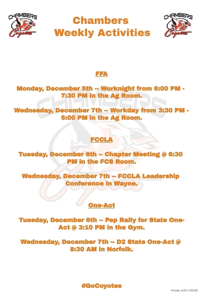Weekly Activities