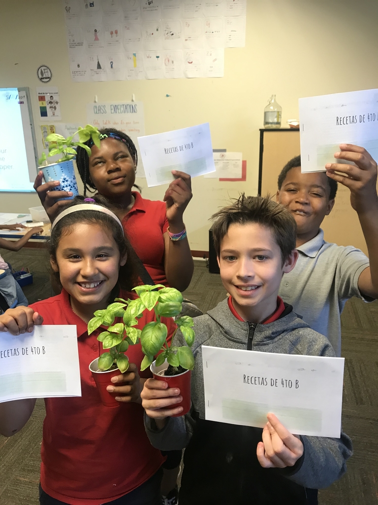 We are taking the basil home!