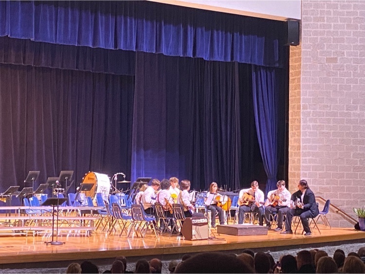 The strings ensemble performs