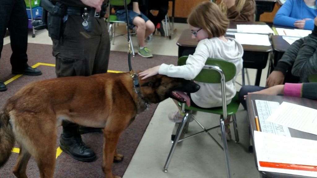 canine visit