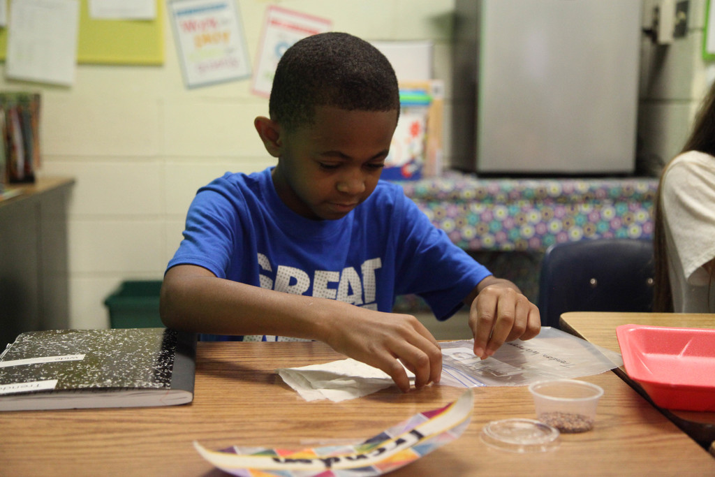 Student putting radish seeds in ziplock bag