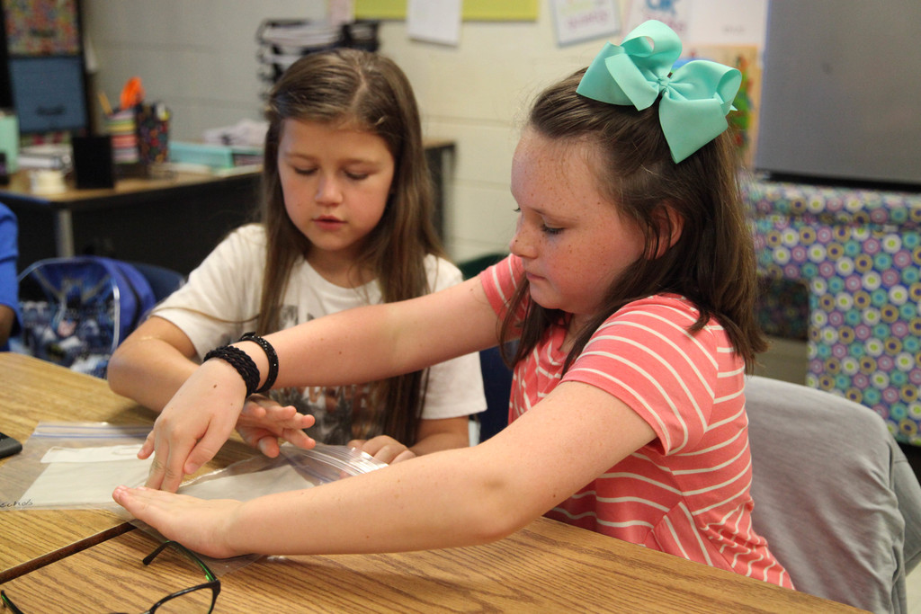 Students putting radish seeds in ziplock bag