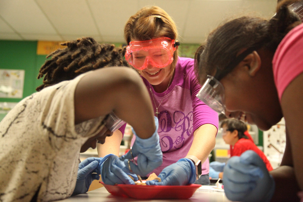 Ms. Calhoon helping students dissecting squids