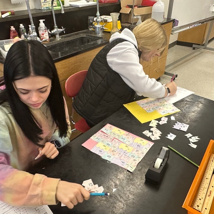 Chemistry students construct ionic compound chemical formulas.