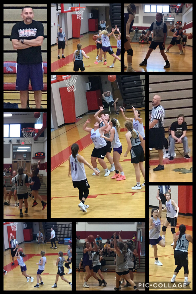 Lady Cats